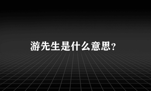 游先生是什么意思？