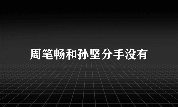 周笔畅和孙坚分手没有