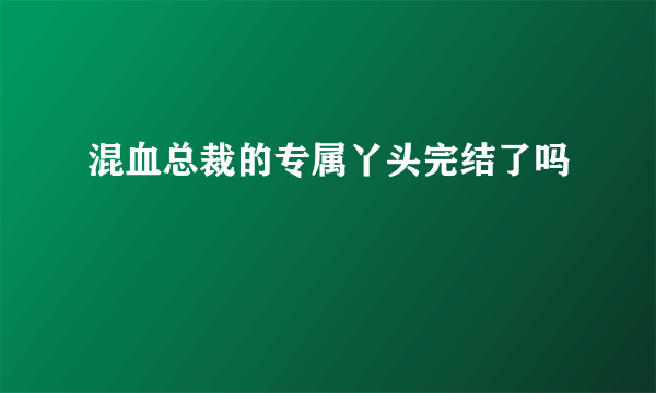 混血总裁的专属丫头完结了吗