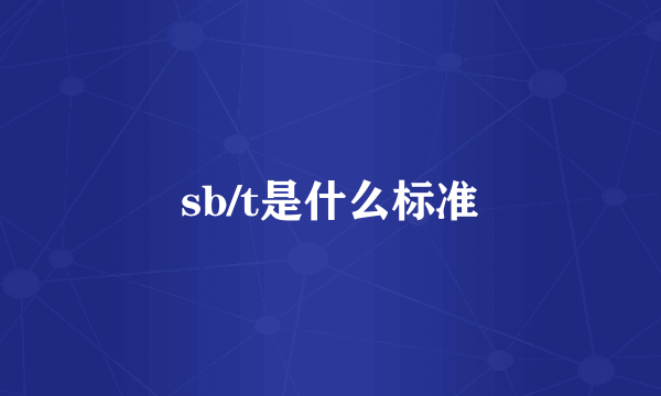 sb/t是什么标准