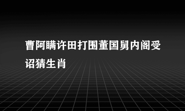 曹阿瞒许田打围董国舅内阁受诏猜生肖
