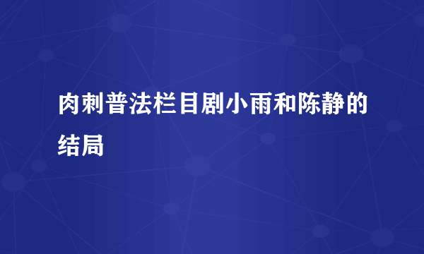 肉刺普法栏目剧小雨和陈静的结局
