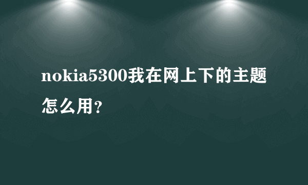 nokia5300我在网上下的主题怎么用？