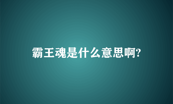 霸王魂是什么意思啊?