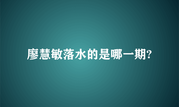 廖慧敏落水的是哪一期?