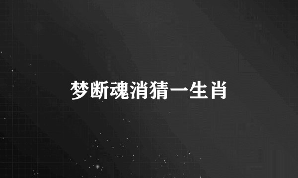 梦断魂消猜一生肖