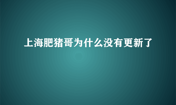 上海肥猪哥为什么没有更新了