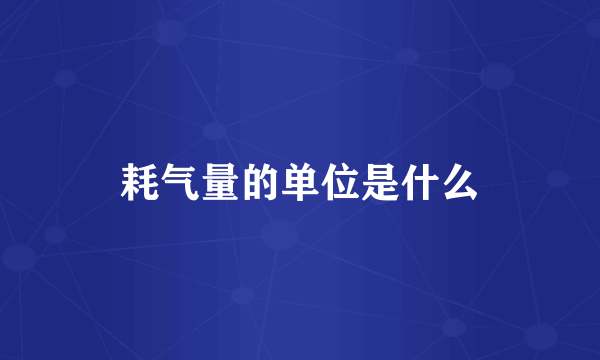 耗气量的单位是什么