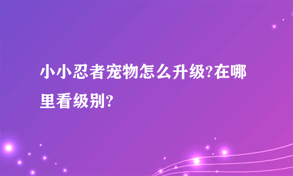 小小忍者宠物怎么升级?在哪里看级别?