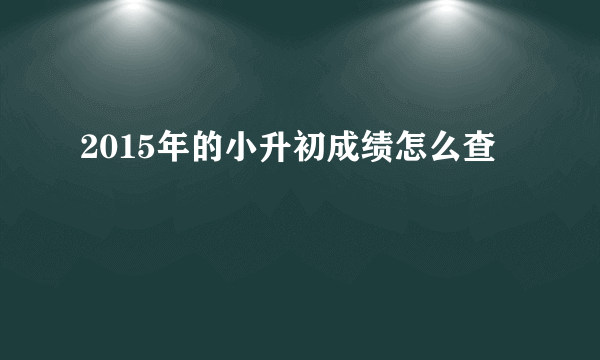 2015年的小升初成绩怎么查