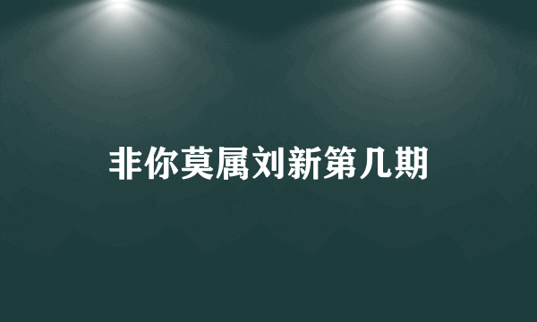 非你莫属刘新第几期