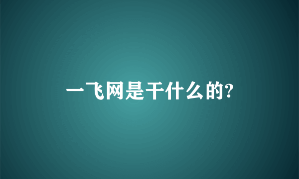 一飞网是干什么的?
