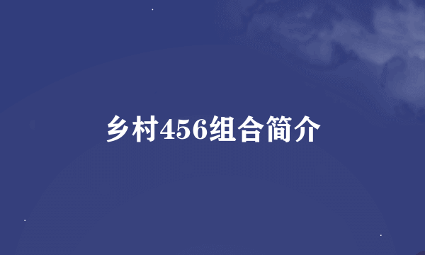 乡村456组合简介