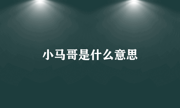 小马哥是什么意思