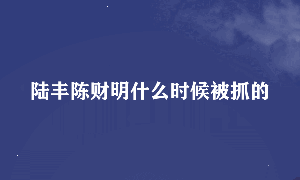 陆丰陈财明什么时候被抓的