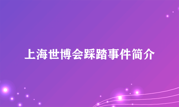 上海世博会踩踏事件简介