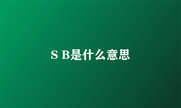 S B是什么意思