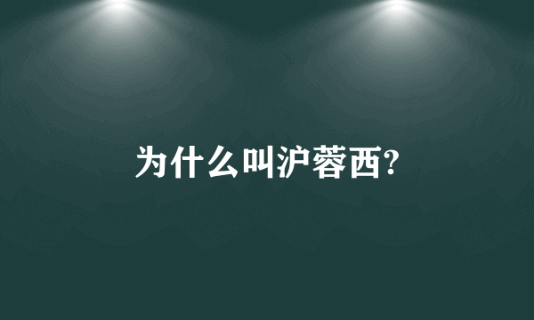 为什么叫沪蓉西?