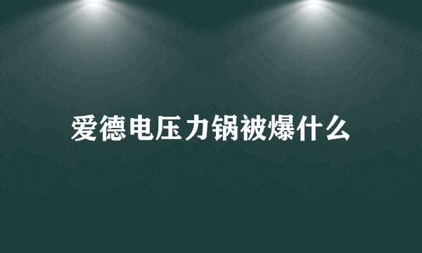 爱德电压力锅被爆什么
