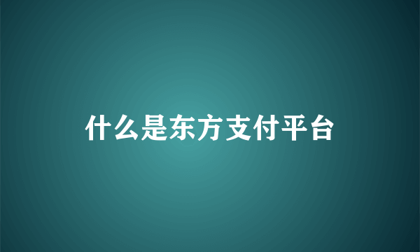 什么是东方支付平台