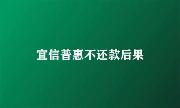宜信普惠不还款后果