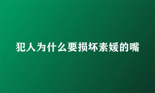 犯人为什么要损坏素媛的嘴