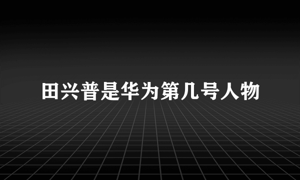 田兴普是华为第几号人物