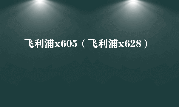 飞利浦x605（飞利浦x628）