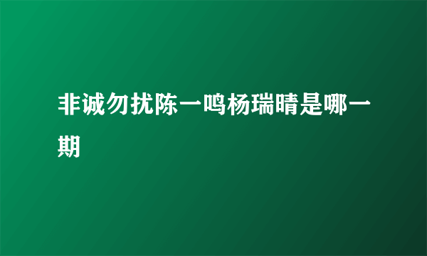 非诚勿扰陈一鸣杨瑞晴是哪一期
