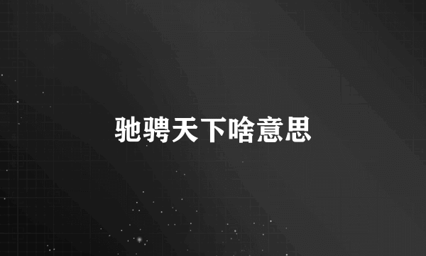 驰骋天下啥意思