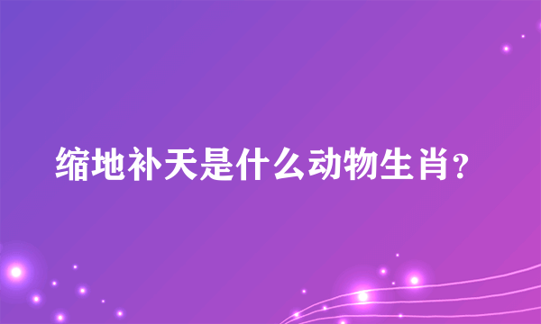 缩地补天是什么动物生肖？