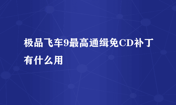 极品飞车9最高通缉免CD补丁有什么用