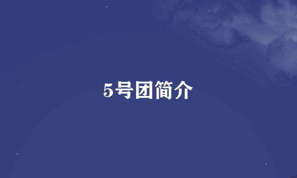 5号团简介