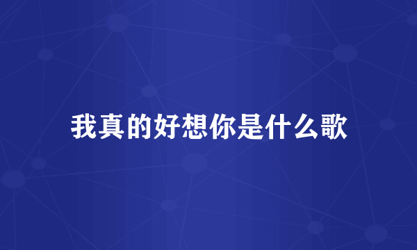 我真的好想你是什么歌