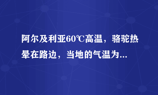 阿尔及利亚60℃高温，骆驼热晕在路边，当地的气温为何如此高？