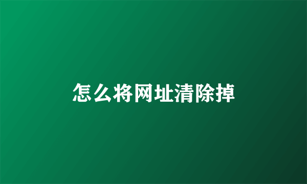 怎么将网址清除掉