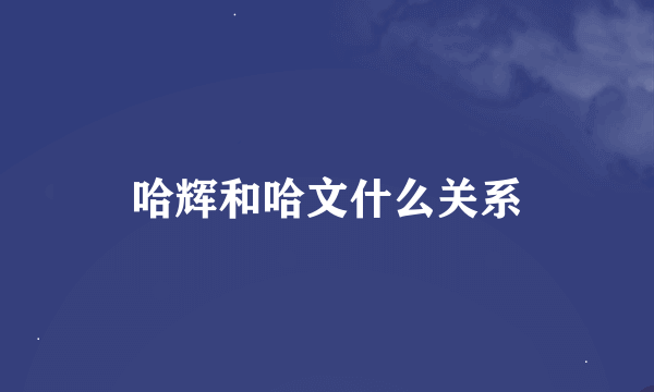 哈辉和哈文什么关系
