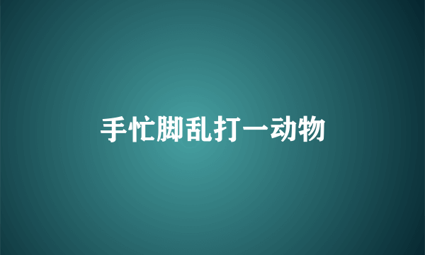 手忙脚乱打一动物