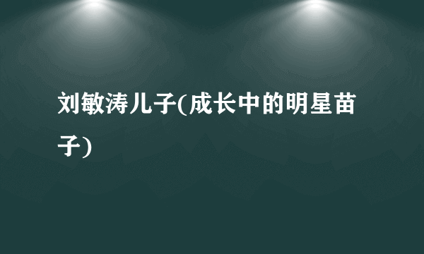 刘敏涛儿子(成长中的明星苗子)