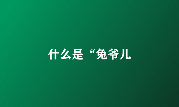 什么是“兔爷儿