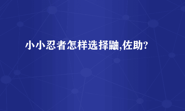 小小忍者怎样选择鼬,佐助?