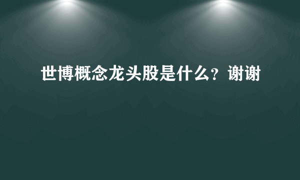 世博概念龙头股是什么？谢谢