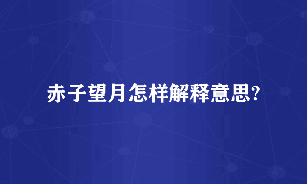 赤子望月怎样解释意思?