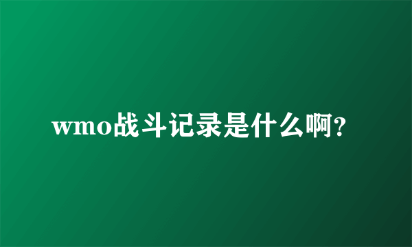 wmo战斗记录是什么啊？