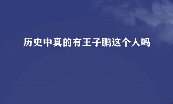 历史中真的有王子鹏这个人吗