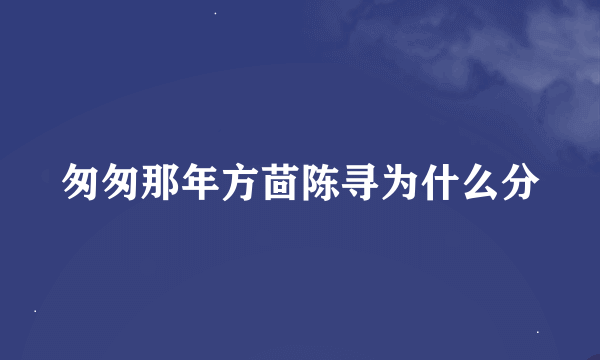 匆匆那年方茴陈寻为什么分