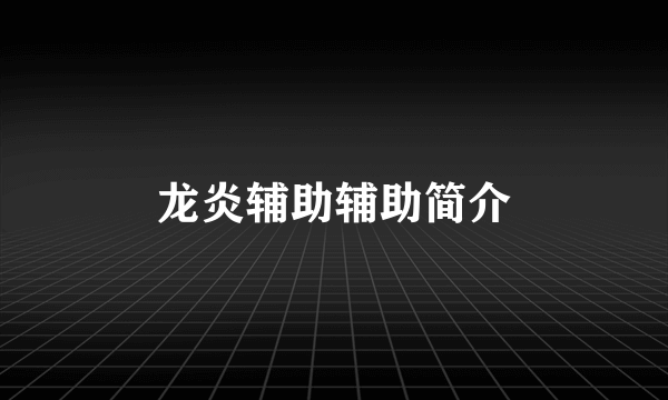 龙炎辅助辅助简介