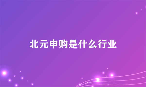 北元申购是什么行业