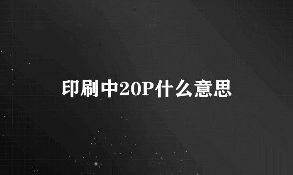 印刷中20P什么意思