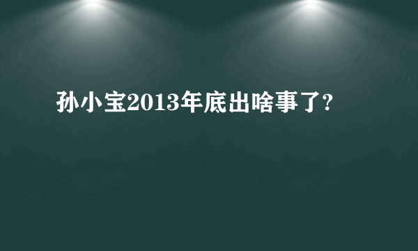 孙小宝2013年底出啥事了?